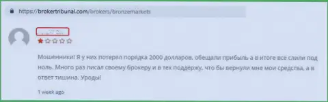 BronzeMarkets - это СЛИВ !!! Трудиться с ними не советуем - это отзыв биржевого трейдера