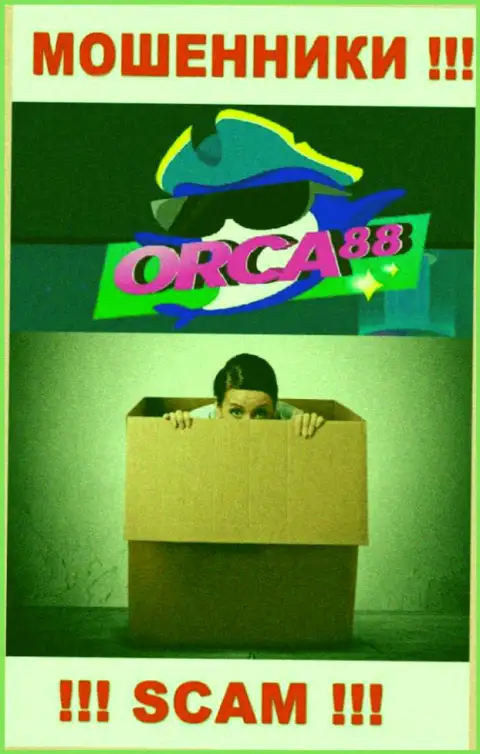Руководство ORCA88 CASINO в тени, на их официальном портале о себе информации нет