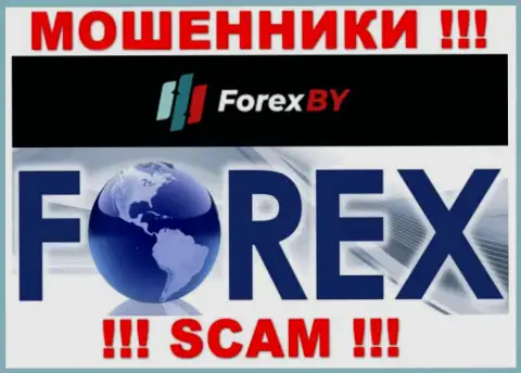 Будьте очень осторожны, вид деятельности Forex BY, FOREX - это кидалово !!!