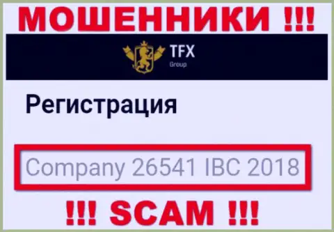 Регистрационный номер, принадлежащий преступно действующей организации TFX-Group Com - 26541 IBC 2018