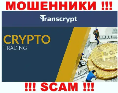 ТрансКрипт - это internet мошенники !!! Сфера деятельности которых - Crypto trading