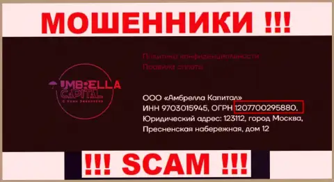 ООО Амбрелла Капитал интернет-ворюг Umbrella-Capital Ru было зарегистрировано под этим номером: 207700295880
