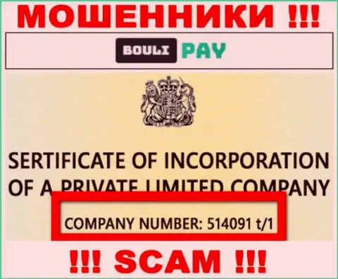 Номер регистрации Bouli Pay может быть и ненастоящий - 514091 t/1