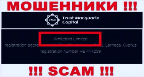 Номер регистрации, принадлежащий противоправно действующей конторе Whitebird Limited: HE 414239