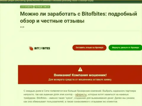 Обзор, который раскрывает методы противозаконных действий организации BitOfBites - это МОШЕННИКИ !!!