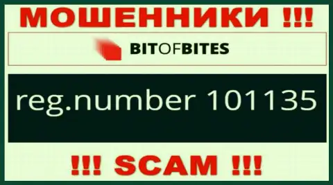 Номер регистрации компании BitOfBites, который они засветили на своем информационном портале: 101135