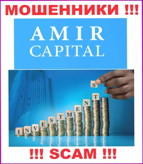 Не отправляйте накопления в Amir Capital, тип деятельности которых - Инвестирование