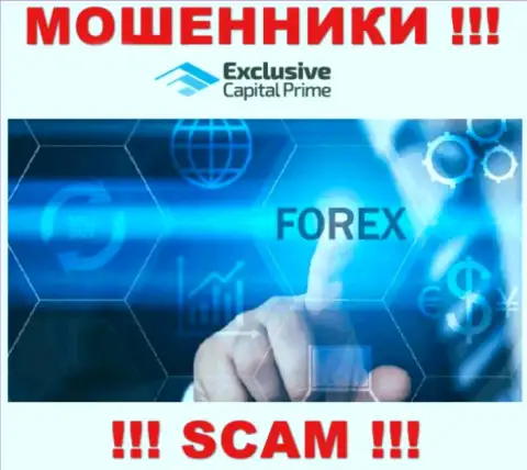 Forex - это вид деятельности незаконно действующей конторы Exclusive Capital