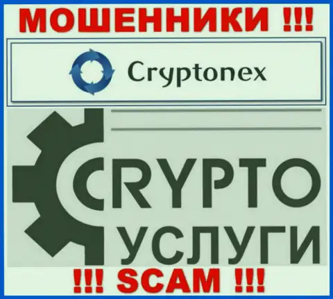 Сотрудничая с CryptoNex, область деятельности которых Крипто услуги, рискуете лишиться своих средств