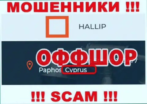 Лохотрон Hallip Com зарегистрирован на территории - Кипр