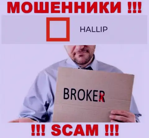 Сфера деятельности мошенников Hallip Com - это Broker, однако имейте ввиду это разводняк !