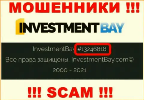Регистрационный номер, под которым зарегистрирована компания InvestmentBay: 13246818