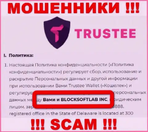 BLOCKSOFTLAB INC управляет организацией TrusteeWallet это МОШЕННИКИ !!!