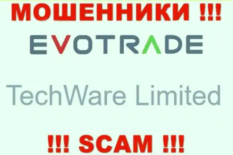 Юр лицом EvoTrade является - TechWare Limited