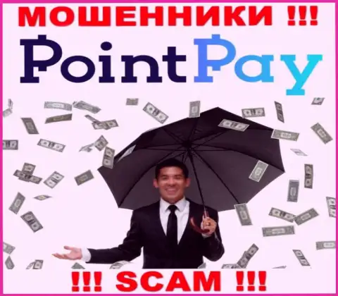 Не попадитесь в лапы интернет-мошенников Point Pay, вложенные денежные средства не заберете назад