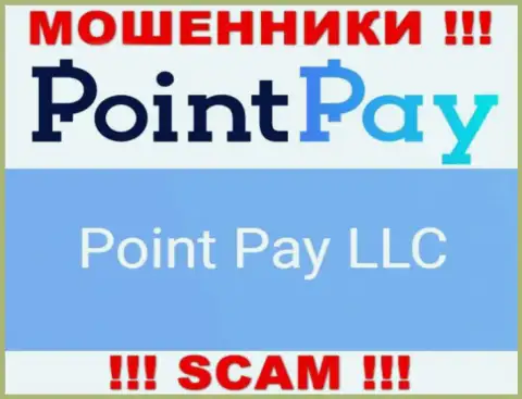Юридическое лицо мошенников PointPay - это Point Pay LLC, информация с веб-сайта мошенников