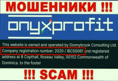 Номер регистрации, который присвоен компании Donnybrook Consulting Ltd - 2020 / IBC00061