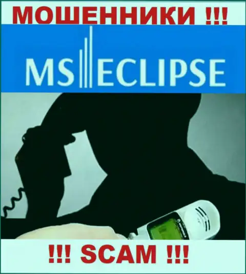 Не надо верить ни одному слову представителей MSEclipse Com, их основная цель развести Вас на деньги