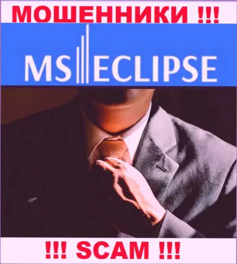 Информации о лицах, руководящих MS Eclipse в сети интернет разыскать не представляется возможным