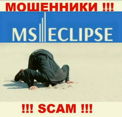 С MSEclipse довольно-таки опасно взаимодействовать, так как у компании нет лицензионного документа и регулятора