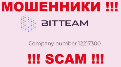 Регистрационный номер компании Bit Team - 12217300
