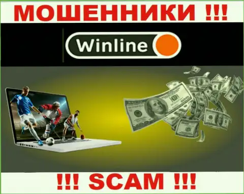 Осторожнее !!! WinLine Ru - это стопудово internet-обманщики !!! Их работа противозаконна