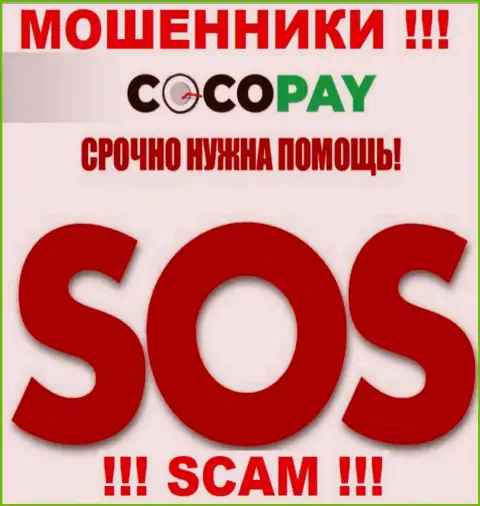 Можно попытаться забрать обратно денежные вложения из организации CocoPay, обращайтесь, разузнаете, что делать