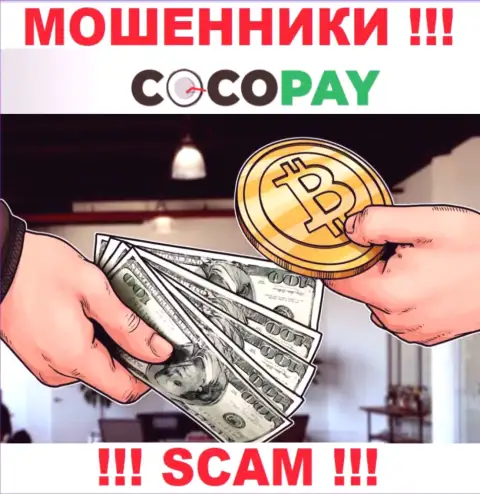 Не доверяйте депозиты Coco-Pay Com, так как их область деятельности, Обменка, капкан