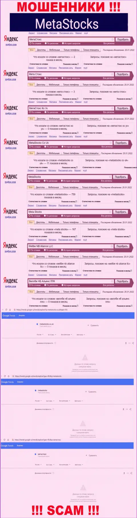 Число онлайн запросов по ворам MetaStocks в сети Интернет