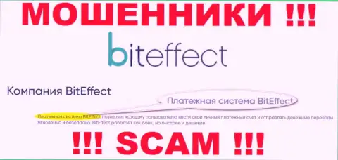 Осторожно, сфера деятельности BitEffect, Платёжная система - это лохотрон !!!