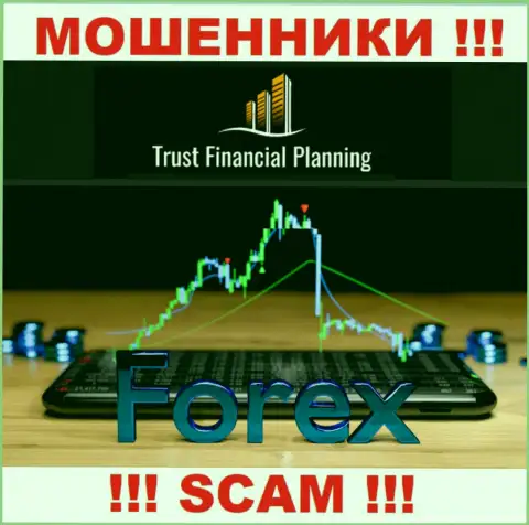 Forex - в этой сфере промышляют профессиональные мошенники Trust Financial Planning Ltd