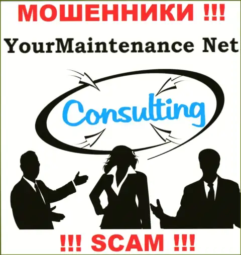 Сотрудничая с YourMaintenance, сфера работы которых Consulting, рискуете остаться без своих денег