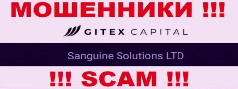 Юридическое лицо GitexCapital Pro - это Сангин Солютионс ЛТД, именно такую информацию опубликовали мошенники у себя на интернет-сервисе