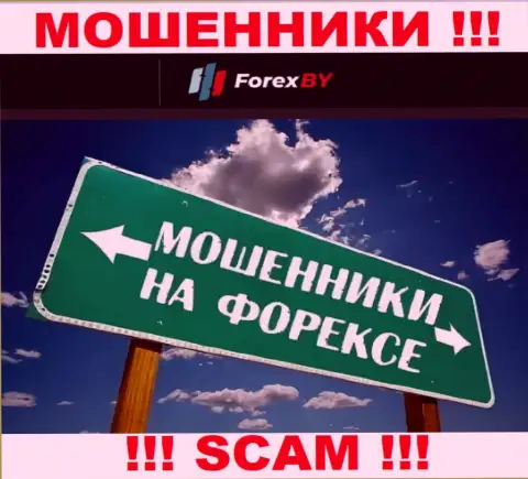 Вид деятельности организации ForexBY - это замануха для лохов