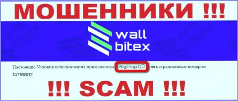 WallBitex - это МОШЕННИКИ !!! Владеет данным лохотроном БигДроп ОЮ