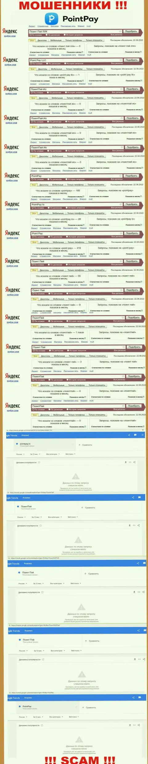 Статистические показатели количества просмотров данных об мошенниках Поинт Пей в инете