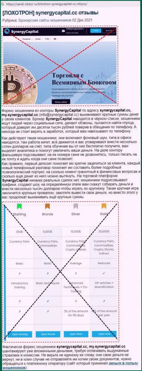 Обзор неправомерных действий Синерджи Капитал с описанием показателей махинаций