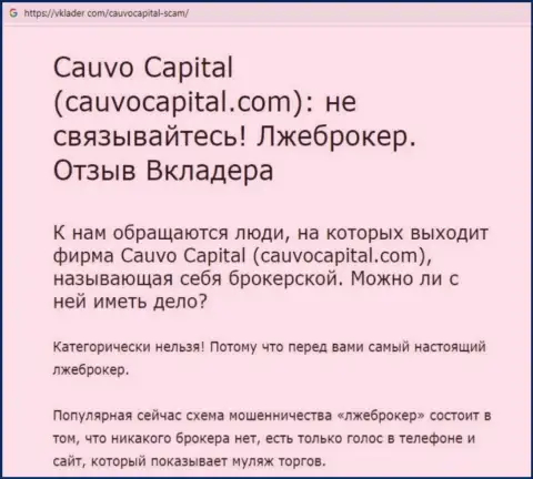 Cauvo Capital - это ВОРЫ и РАЗВОДИЛЫ ! Обманывают и прикарманивают денежные средства (обзор деяний)