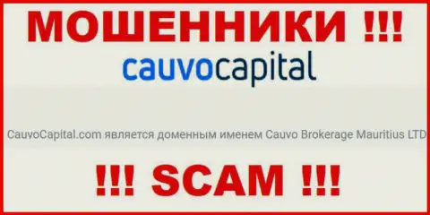 Аферисты КаувоКапитал Ком принадлежат юр лицу - Cauvo Brokerage Mauritius LTD