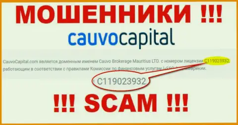 Мошенники CauvoCapital Com умело дурят лохов, хотя и размещают свою лицензию на веб-сайте