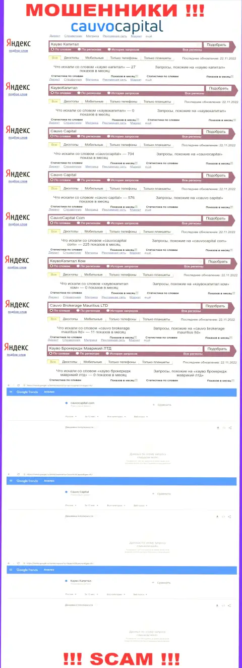 Cauvo Capital - это МОШЕННИКИ, сколько именно раз искали в поисковиках всемирной сети internet данную организацию