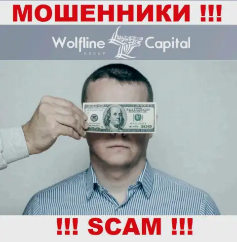 Деятельность Wolfline Capital ПРОТИВОЗАКОННА, ни регулятора, ни лицензии на право осуществления деятельности НЕТ