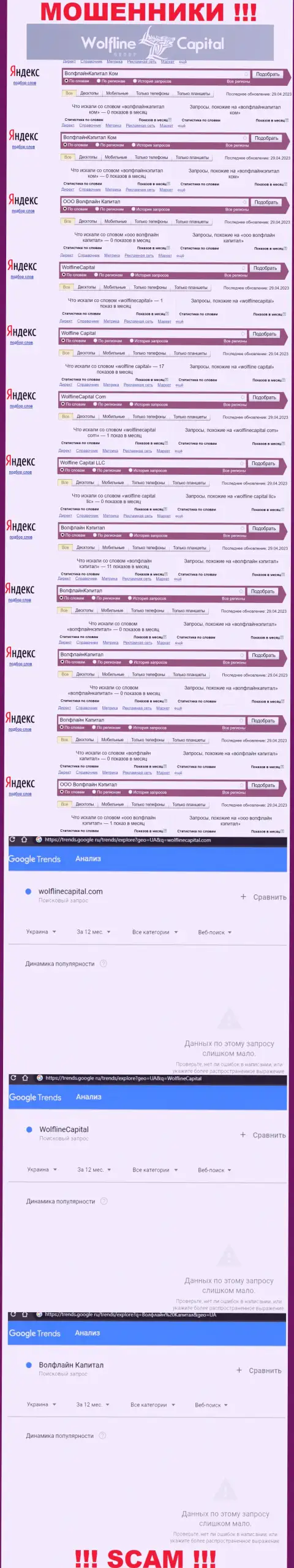 Статистические показатели о числе online запросов информации об мошенниках Wolfline Capital