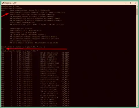 Пример DDoS атаки на сервер maximarkets.pro