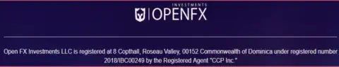 Прописка Форекс дилингового центра Open FX Investments LLC