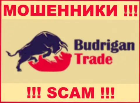 BudriganTrade Com - это МОШЕННИКИ ! SCAM !!!
